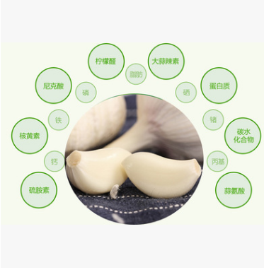 纯手工剥皮蒜米山东金乡特产去皮大蒜头干蒜头蒜子 一件代发图2