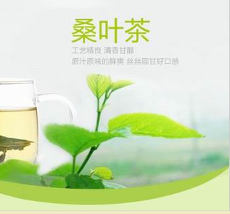 桑叶茶 1图2