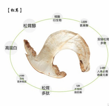 川野 松茸片干货酒店专供四川土特产35g野生菌非新鲜松茸批发包邮图3