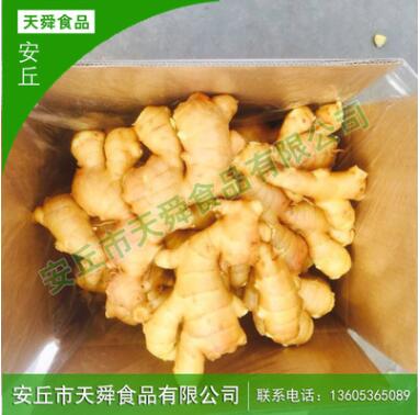 厂家批发 生姜 新鲜农家生姜 食品级鲜姜图3