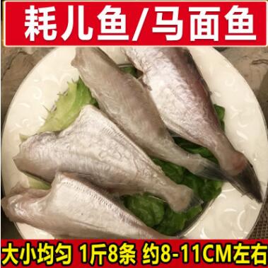 3050耗儿鱼1斤8条 新鲜马面鱼扒皮鱼 川菜火锅食材散装图2