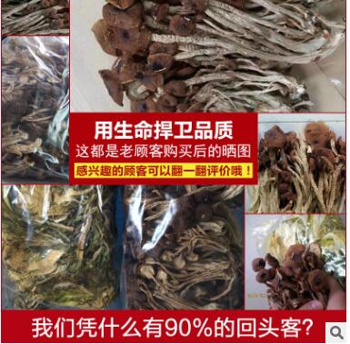 茶树菇干货不开伞500g特级新鲜农家江西纯正天然野生散装干茶树菇图3