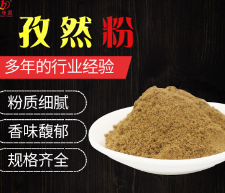 厂家直销 孜然粉烧烤调味料孜然碎撒料腌料炸串麻辣烫 孜然粉图2